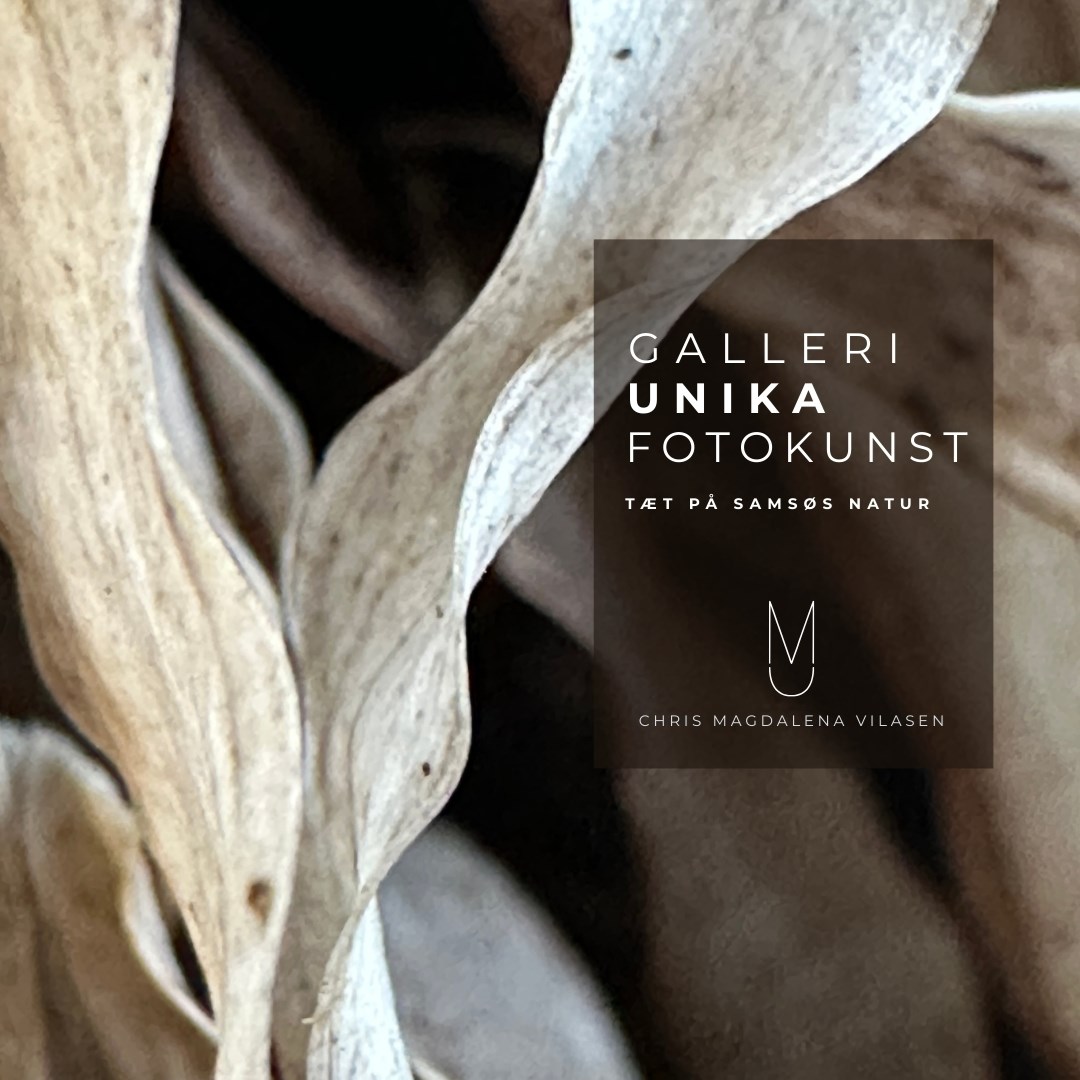 Galleri Unika Fotokunst - Tæt på Samsøs natur