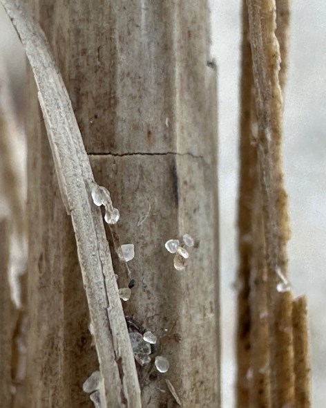 Fernisering - Nyt gallerirum og udstilling "Det inderste rum"