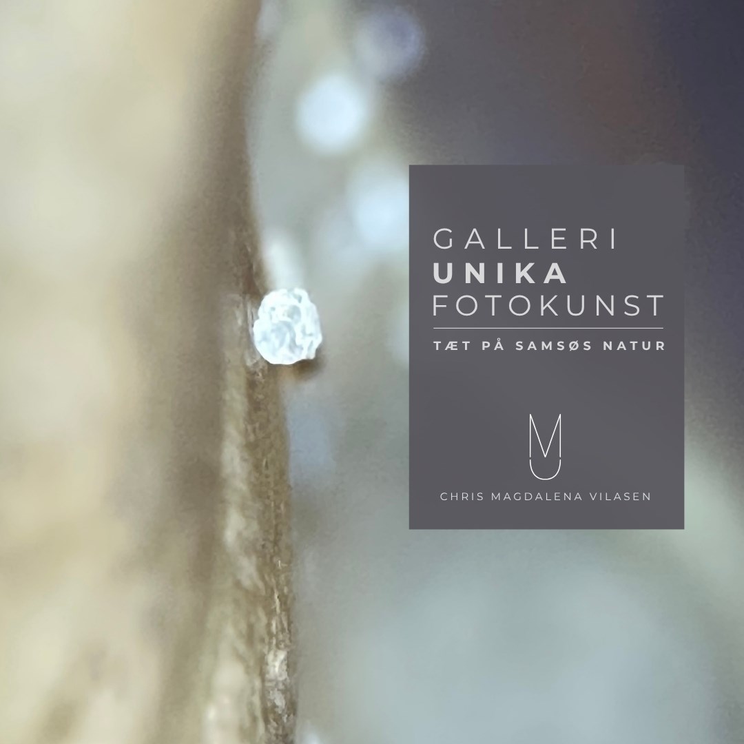 Galleri Unika Fotokunst - Tæt på Samsøs natur