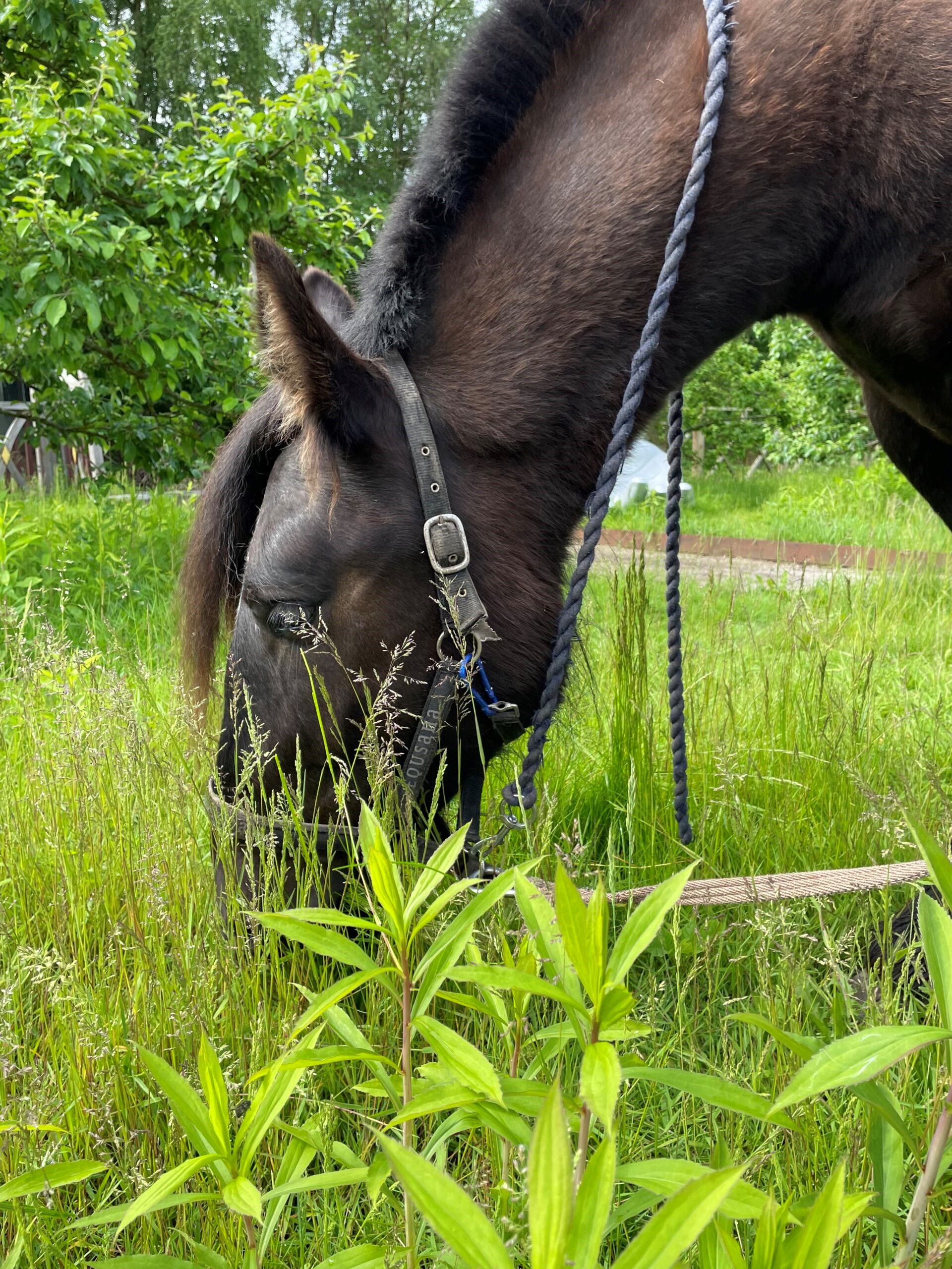 Åbent hus i Kunsthal Rønnebæksholm til Kulturnat24 i Næstved