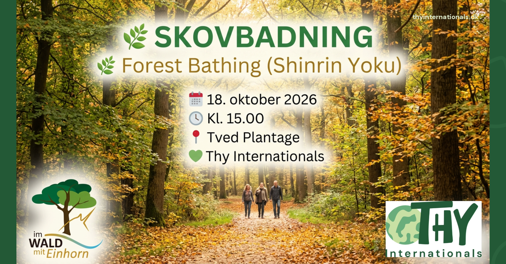 Skovbadning / Forest Bathing