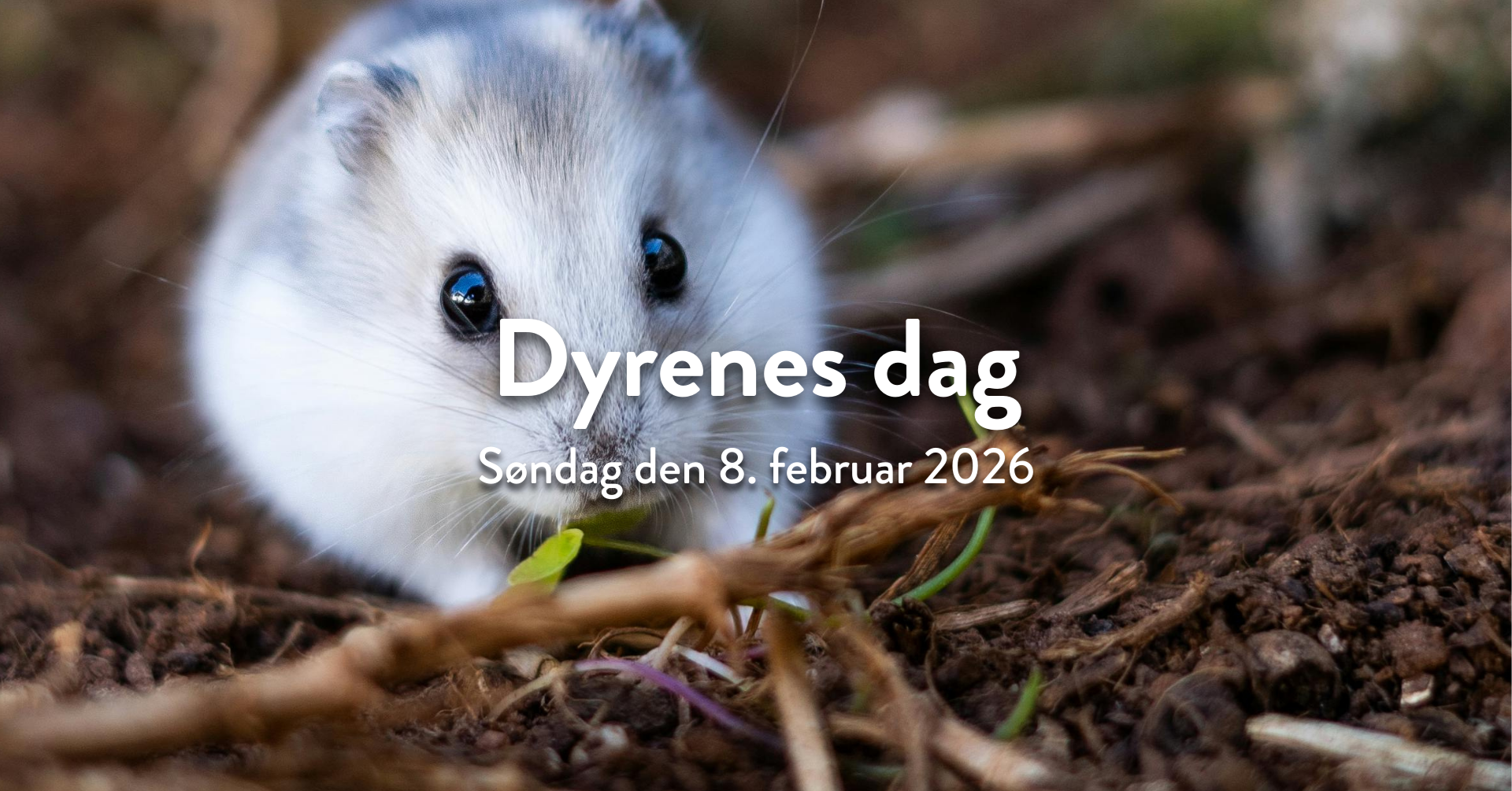 Dyrenes dag i Plantorama Hillerød