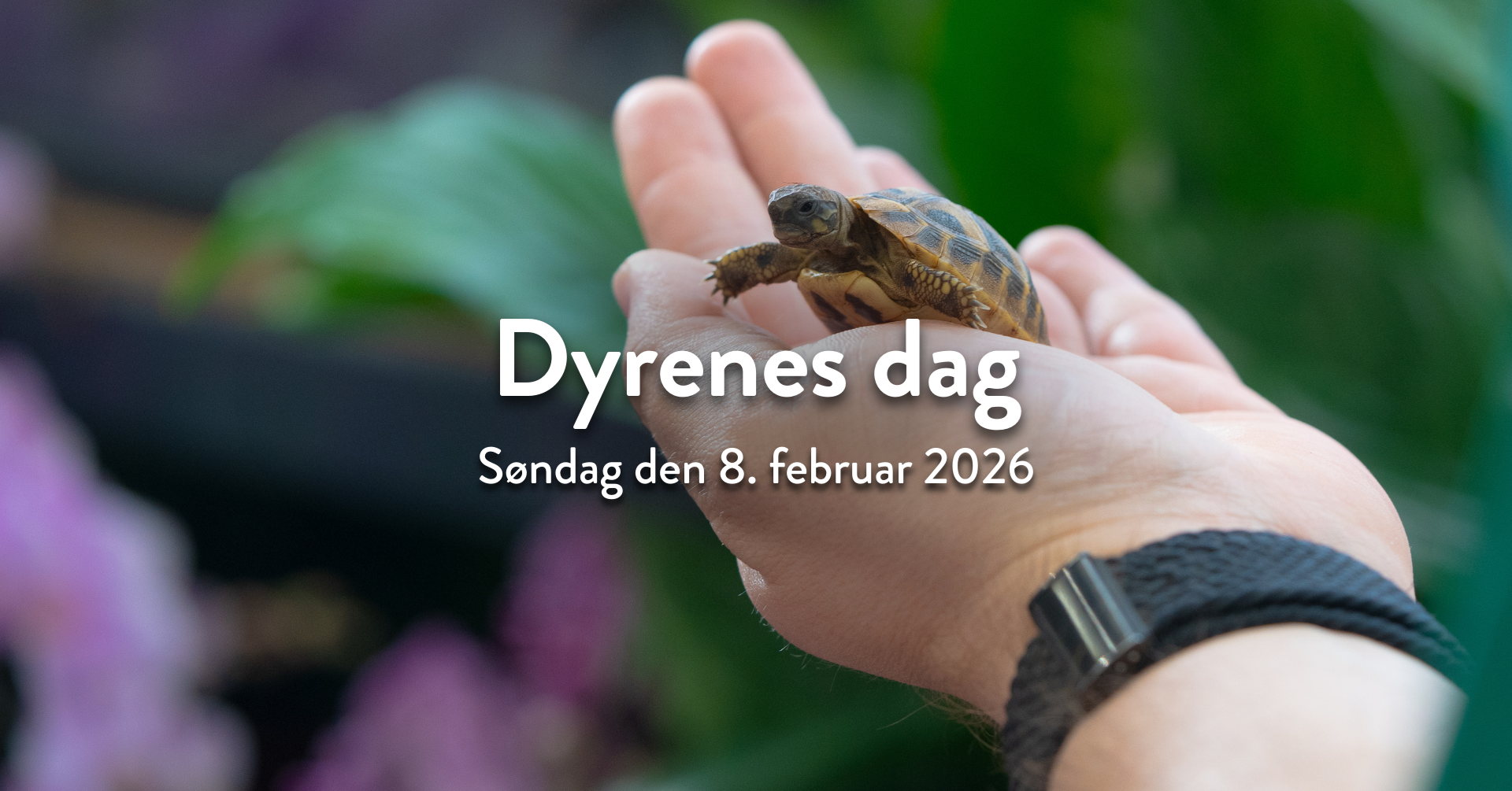 Dyrenes dag i Plantorama Hørsholm