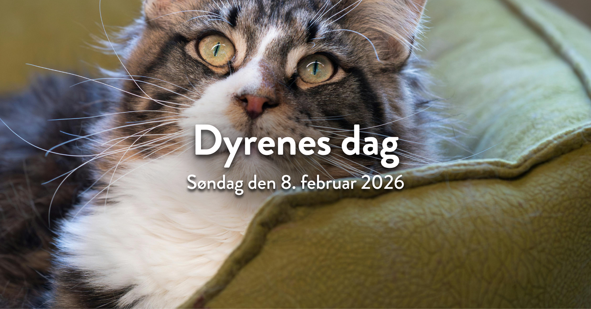 Dyrenes dag i Plantorama Sønderborg
