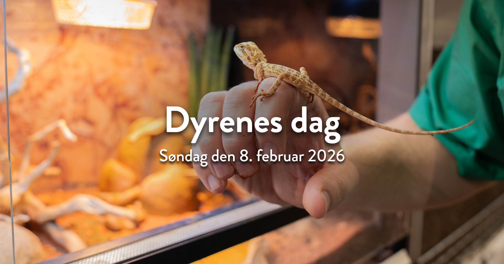 Dyrenes dag i Plantorama Taastrup