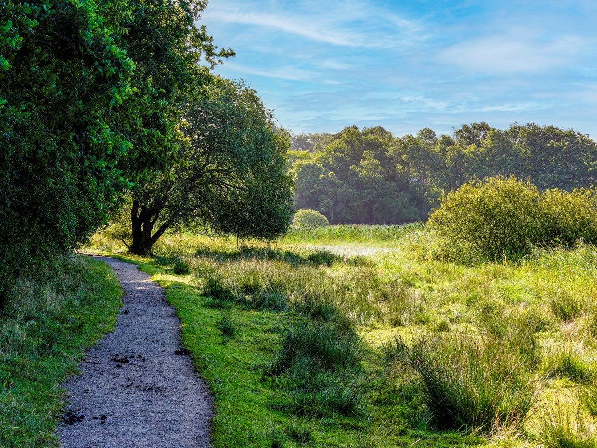 Friluftsture i forårsnaturen