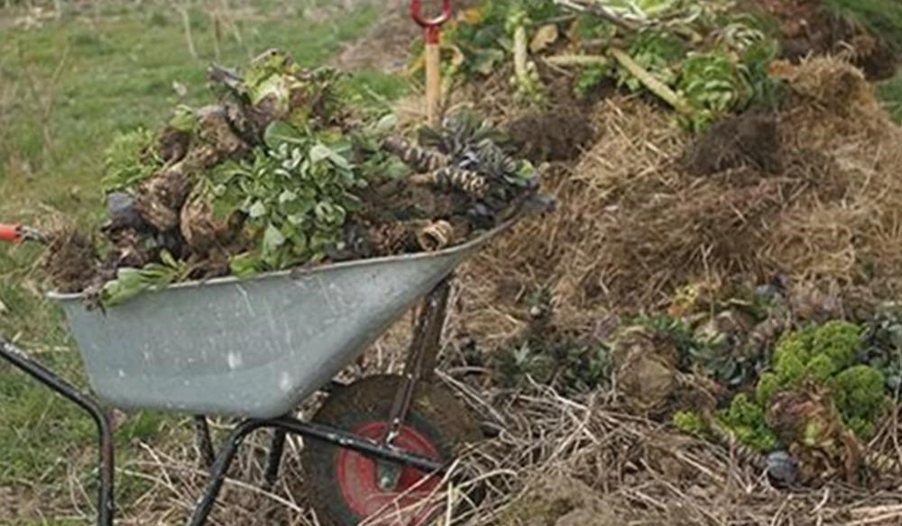 Mere natur - mindre affald - hvordan gør vi det? på Forårsmessen i Ry