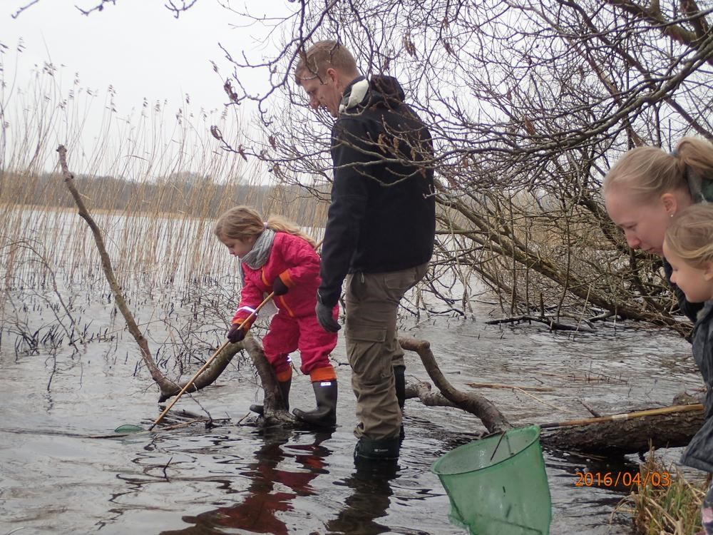 Familieaktivitet i skoven