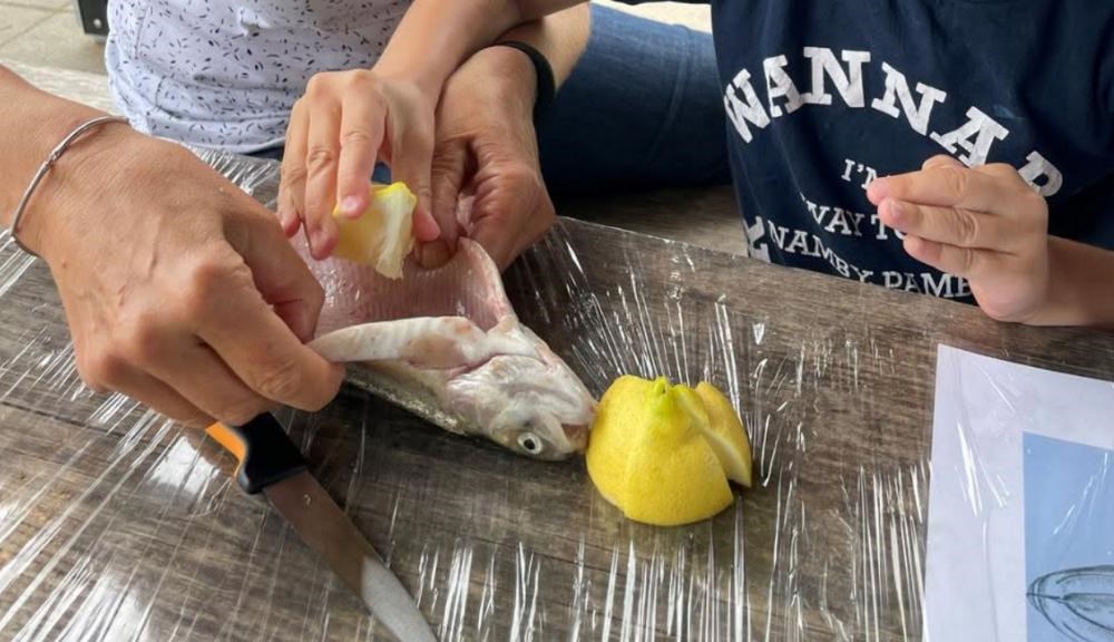 Smag på søens fisk - sommerferieaktivitet for børnefamilier