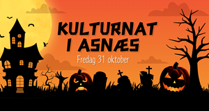 Kulturnat i Asnæs på børnebiblioteket