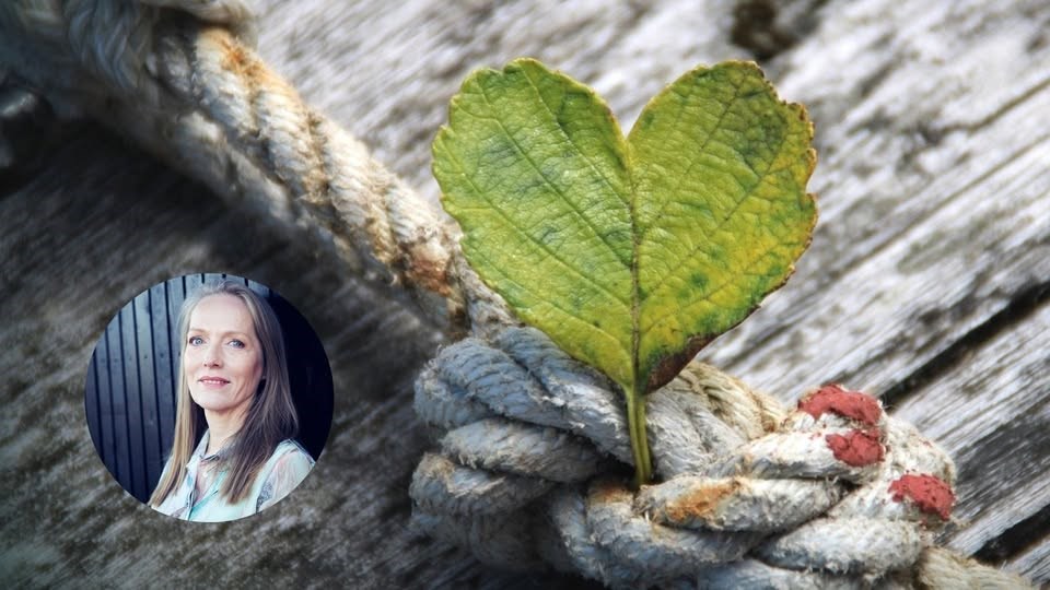 Taknemmelighed som livseliksir