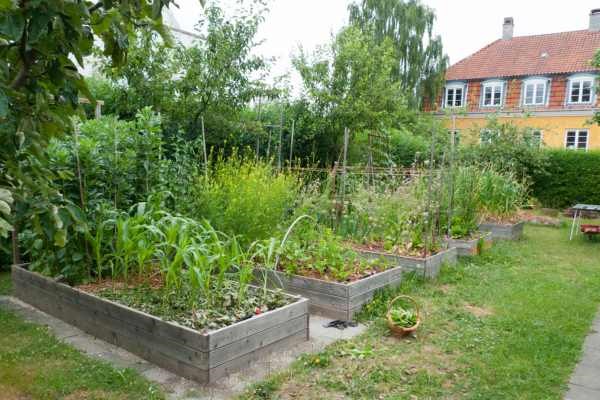 Permakultur og parcelhushavernes potentiale