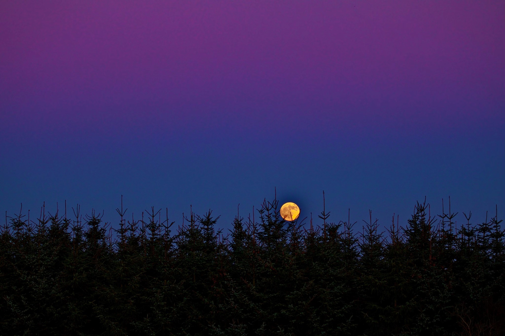 Fuldmåneaften i Planetariet