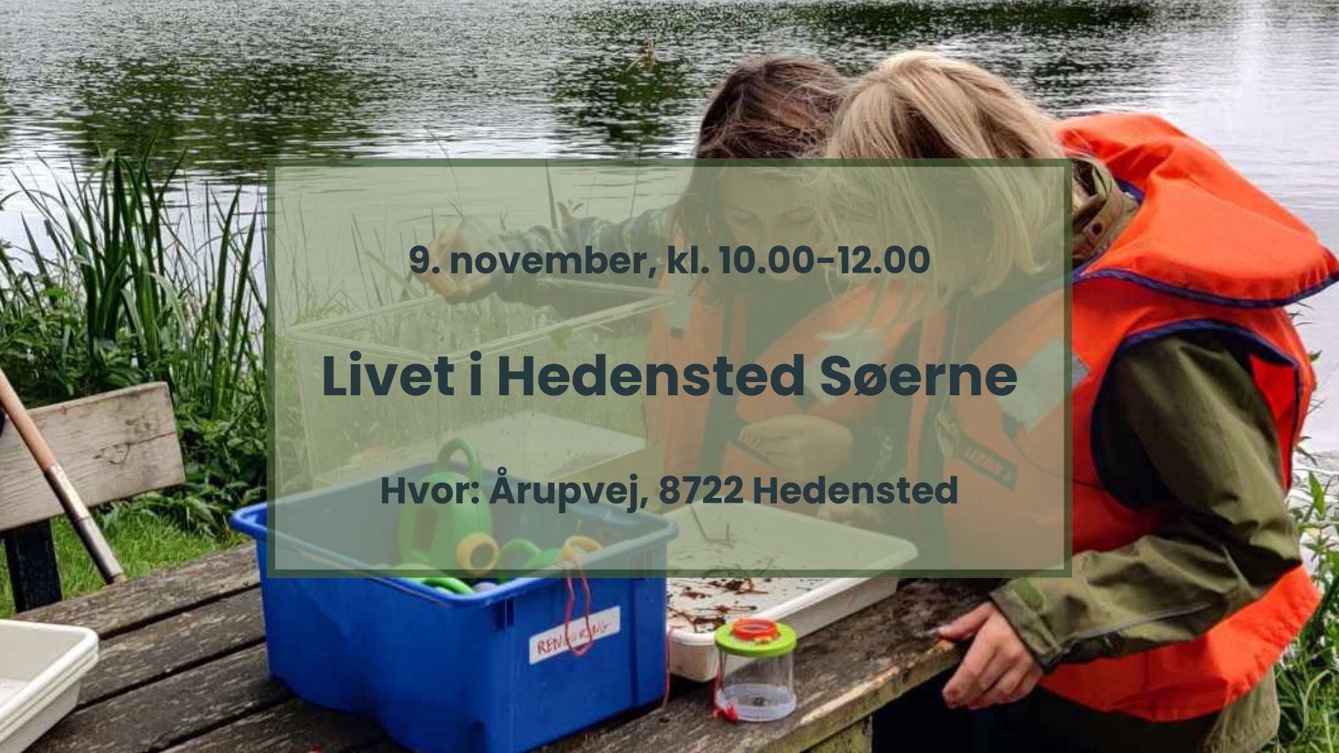 Livet i Hedensted Søerne