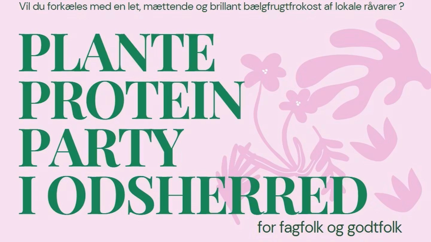 PlanteProteinParty
