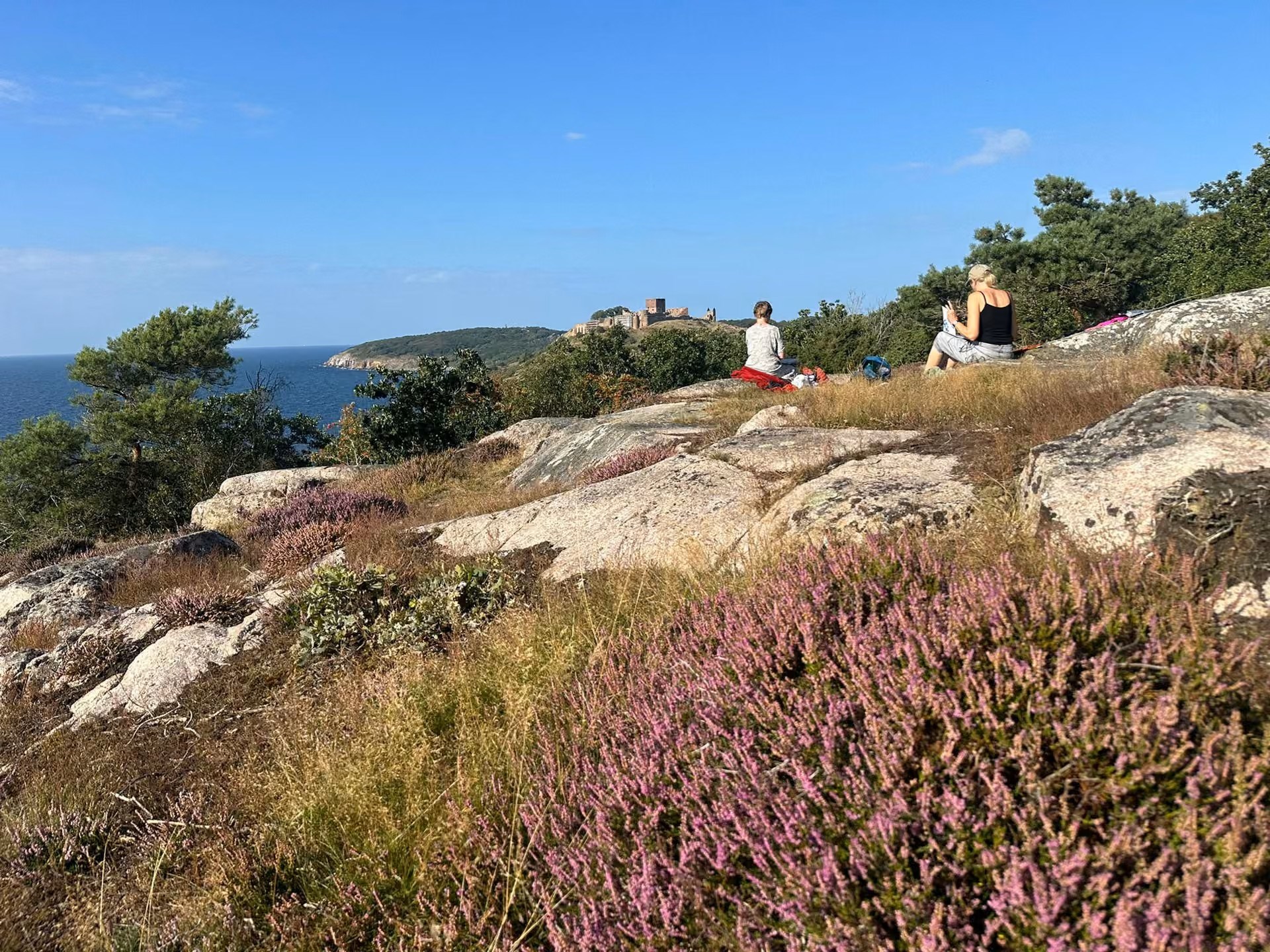 Kulturugens tegnevandring ved Hammershus - ad Finnens fodspor i dramatisk natur og borglandskab
