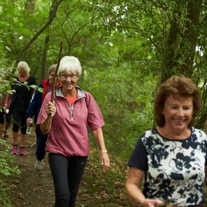 Vandreture på Hammelkanten