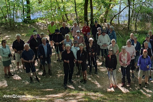 Stavgang i Hammel