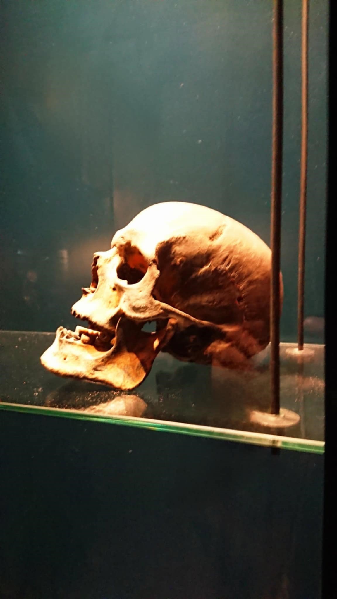 Januar-foredrag: Myrdet ved Aggersborg?