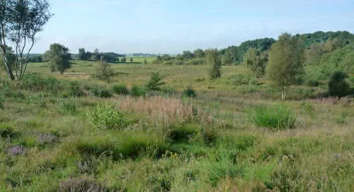 Mysteriet i Mosen - på sporet af Gundestrupkarrets hemmeligheder