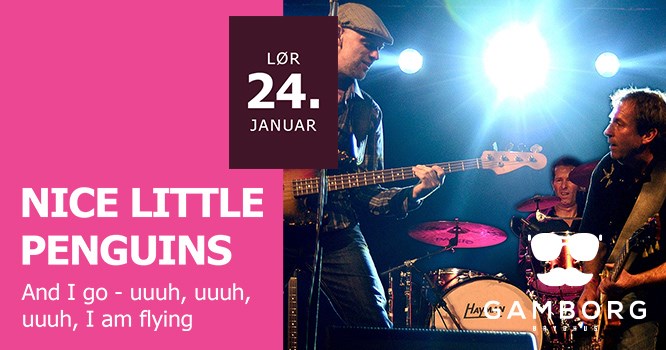 Nice Little Penguins / Gratis Koncert