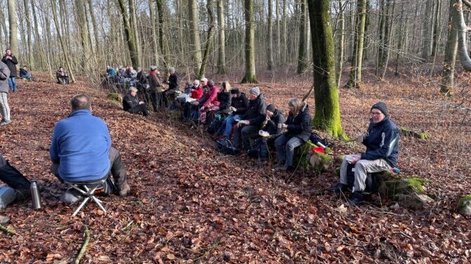 Enemærket og Conradineslyst