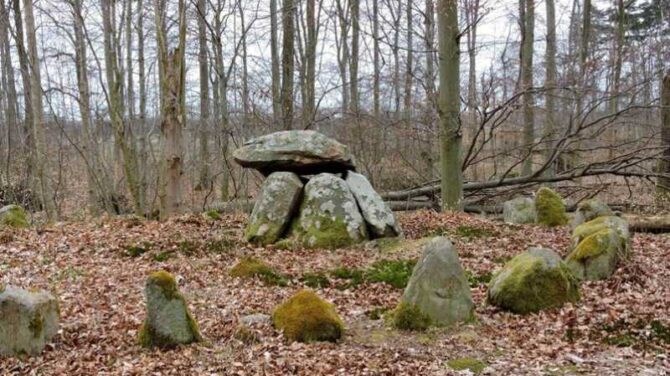 Skovene sydøst for Sorø og glimt af Susåen