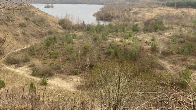 Bromme skov - Bromme Lille sø