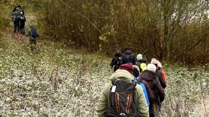 Saltbæk kyst og plantager