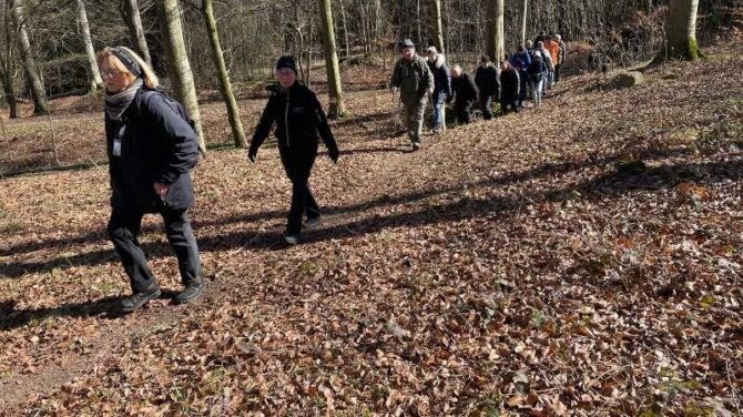Spændende vandring med fokus på istiden i Horsebøg og Nyrup skov