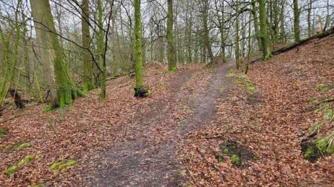 Kårup/Rævebakkerne