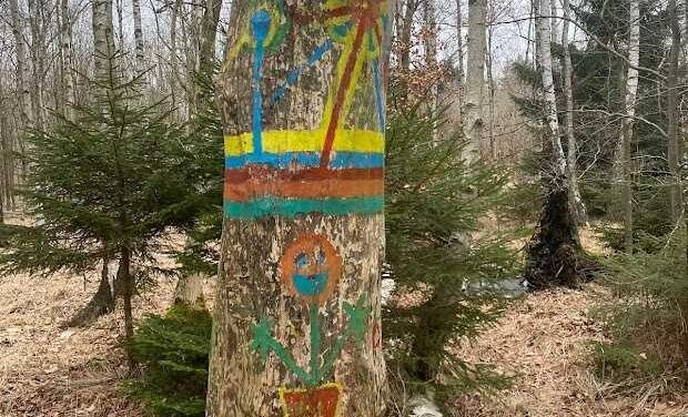 Rundt om Gyrstinge sø