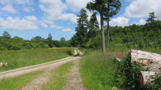 Bromølle, Holmstrup og Skarresø