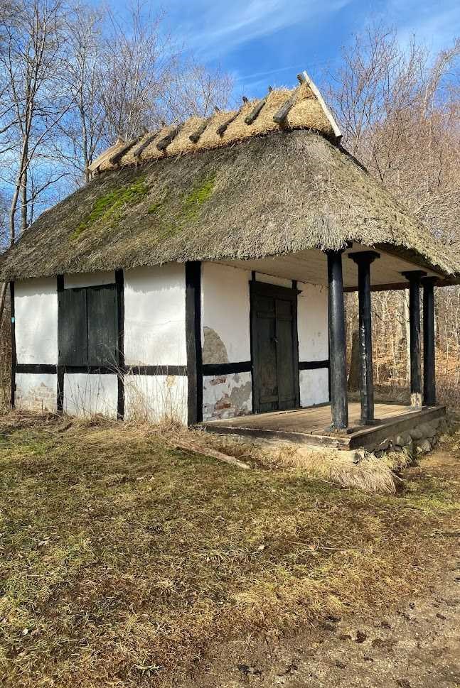 Store/Lille Bøgeskov