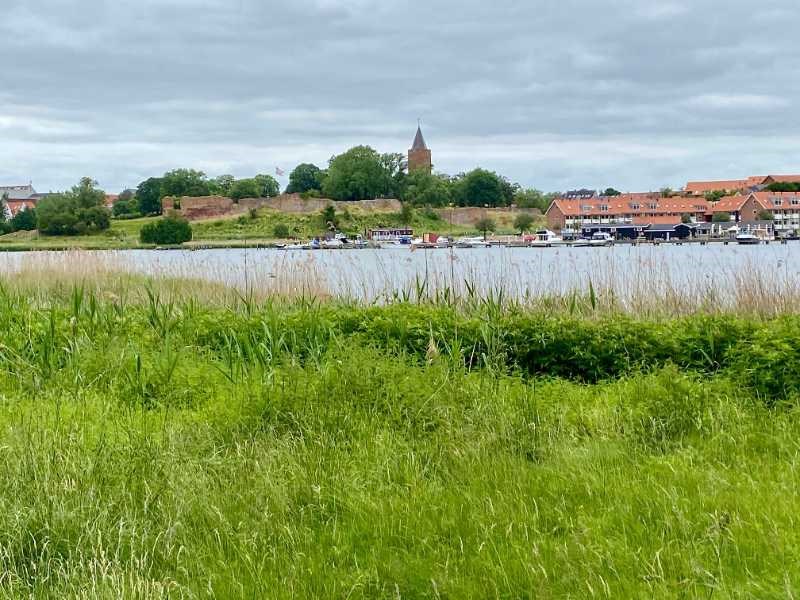 Dejlig varieret vandretur langs Oringepynten til Gåsetårnet og gennem Vinterbølleskoven