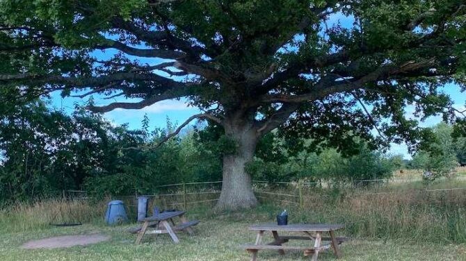 Små vandrestier i/omkring Frederiksberg