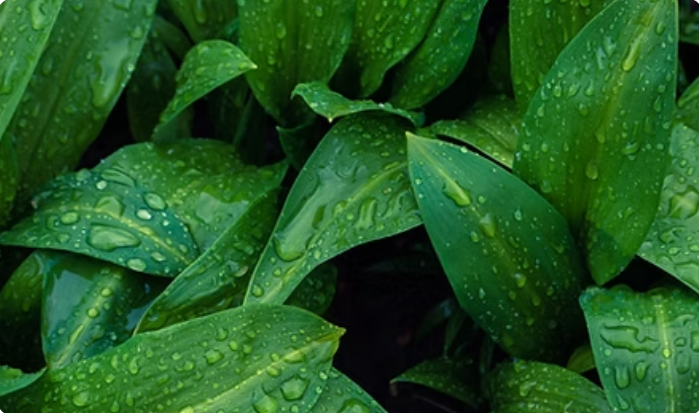 Ramsløgs Madværksted på Tuse Næs