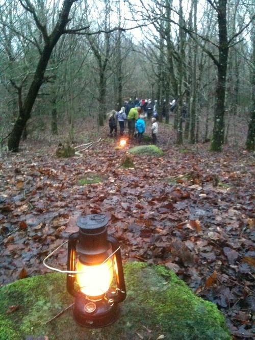 I skoven stille ro ved Vintersolhverv