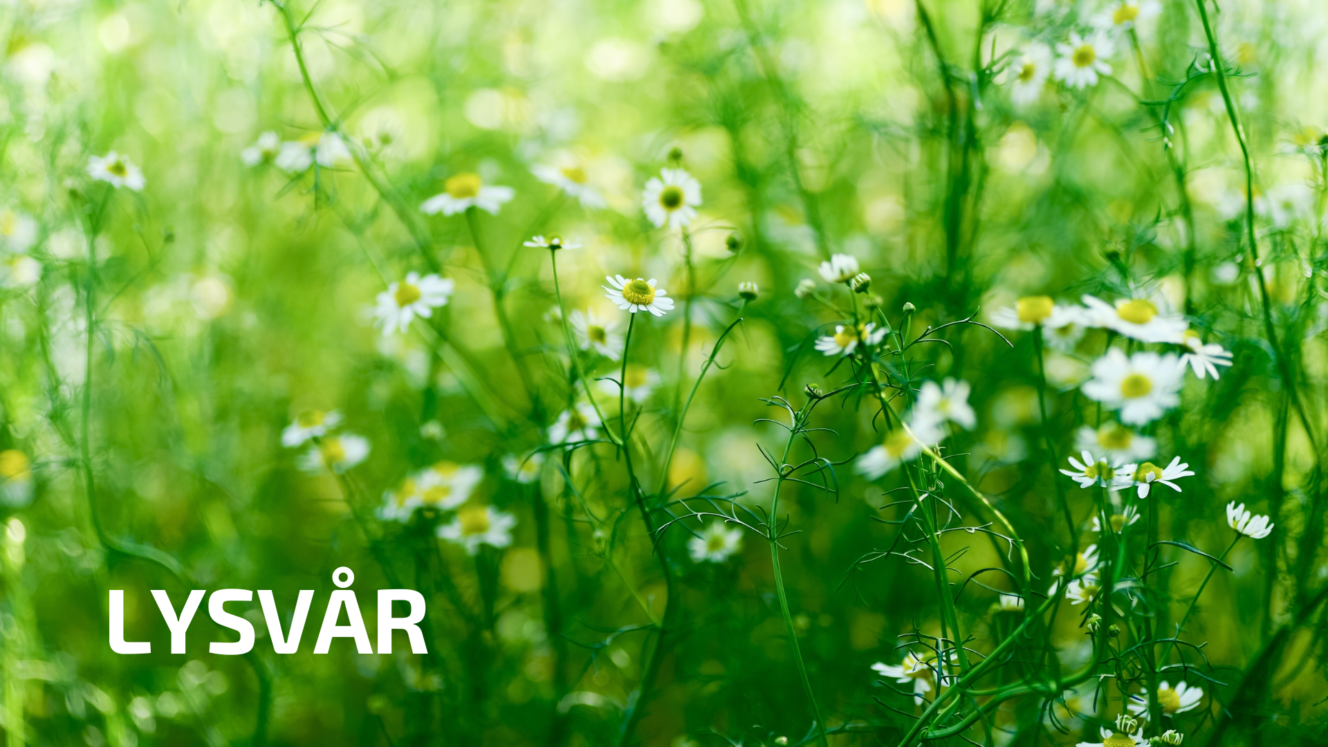 Lysvår koncert på Askov Højskole