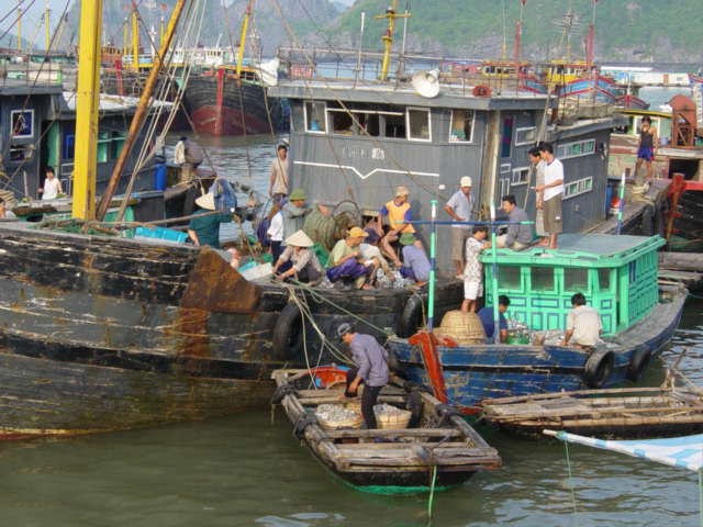 Med tre kufferter og en enkelt billet til Hanoi