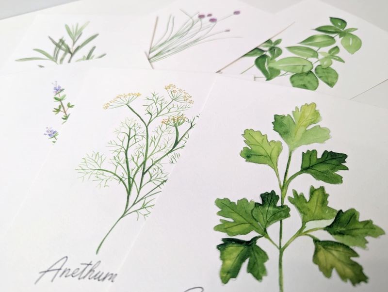 Akvarelworkshop for begyndere - Krydderurter