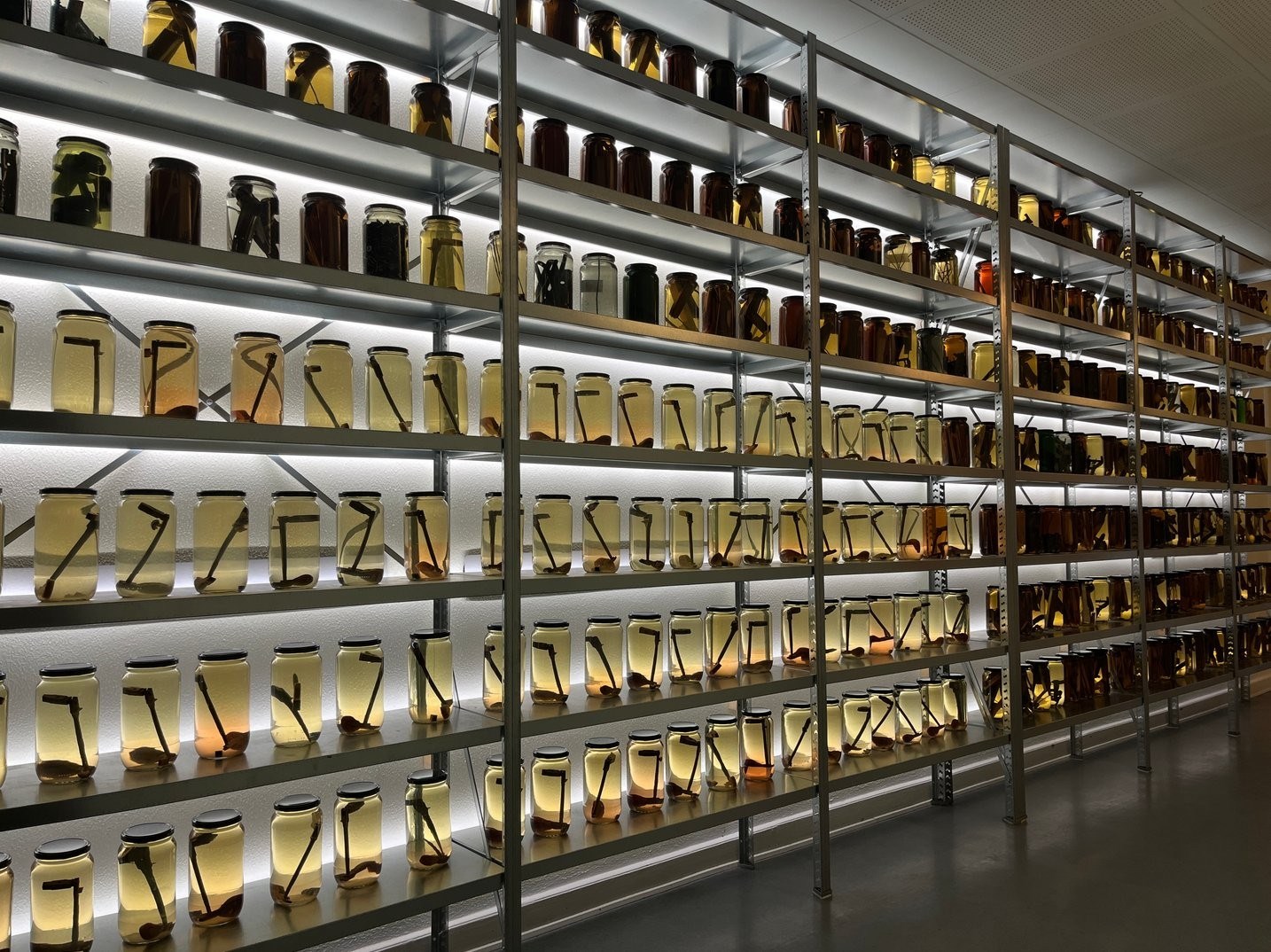 Lytteaften: Niels Lyhne Løkkegaard