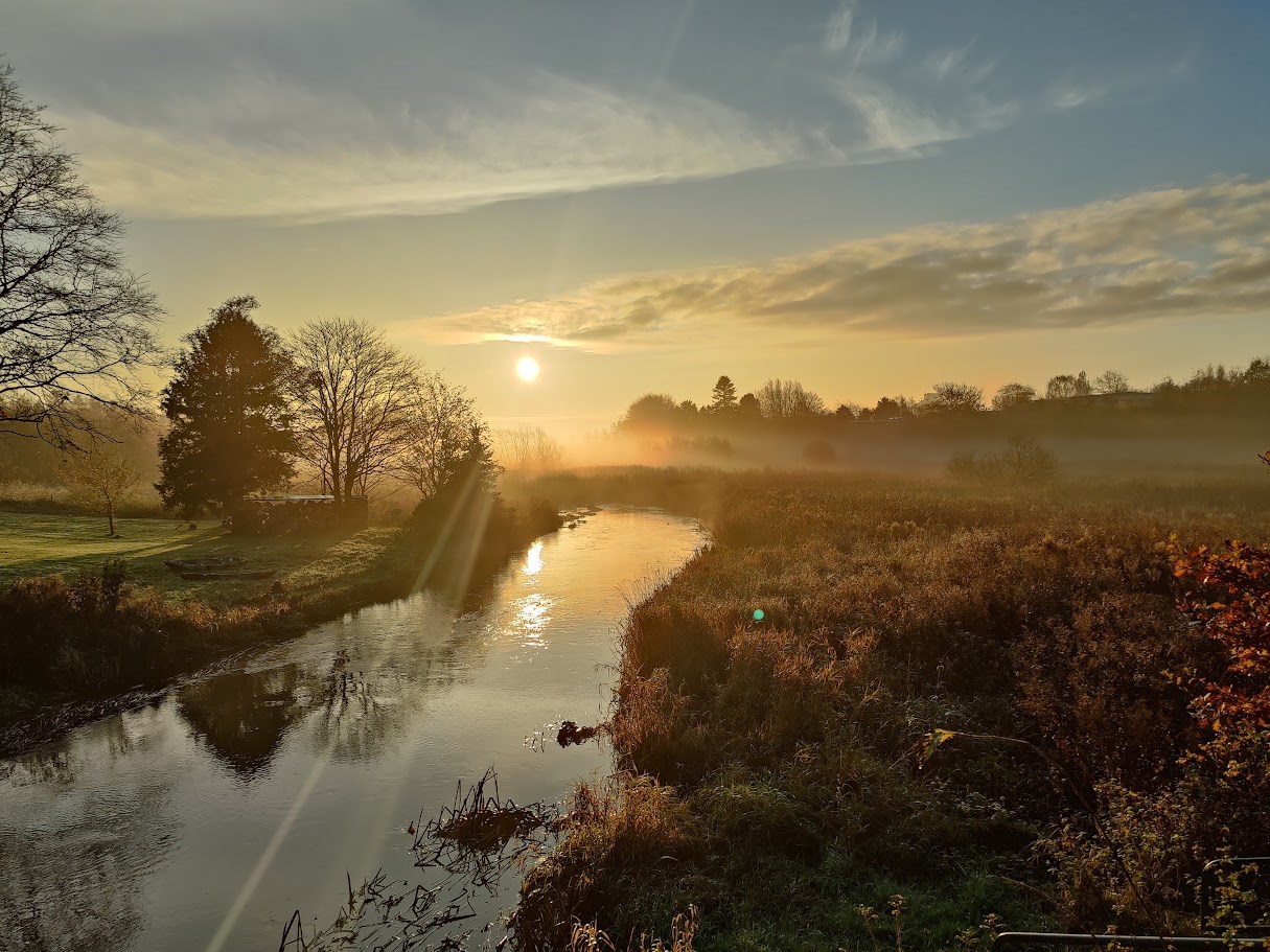 Guidet Aftentur i Farrisskoven ved Jels - Natur, Historie og Skumring