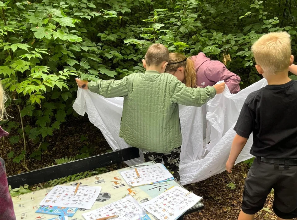 Efterårsferie: Kom med på krible krable-tur