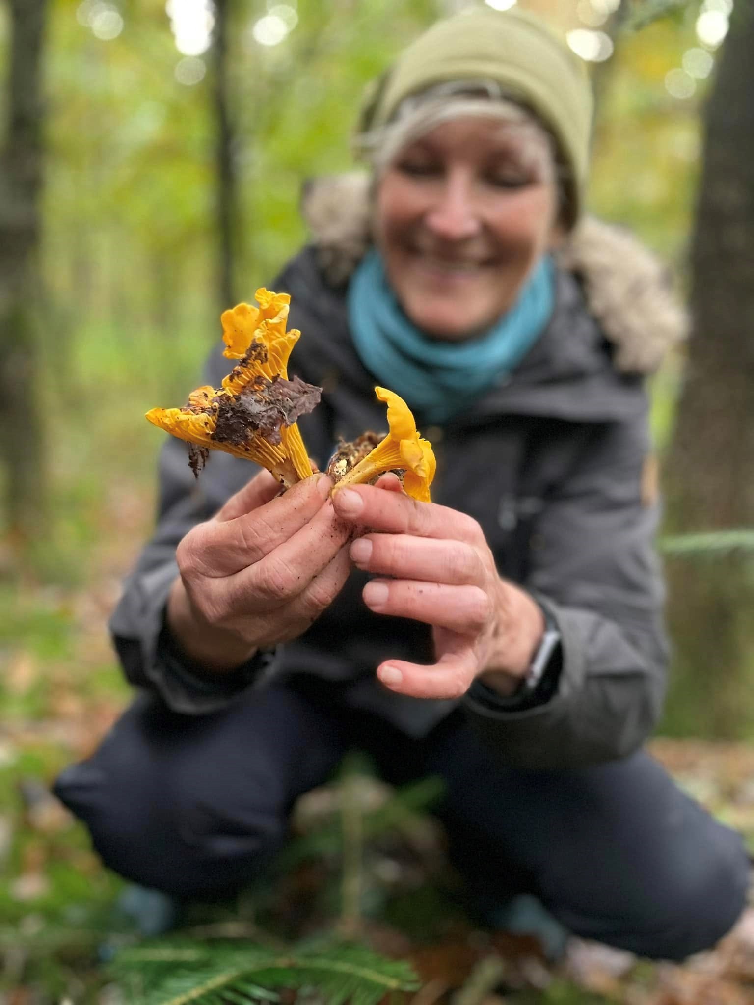 Efterårsferie: Svampetur i Jenle Plantage