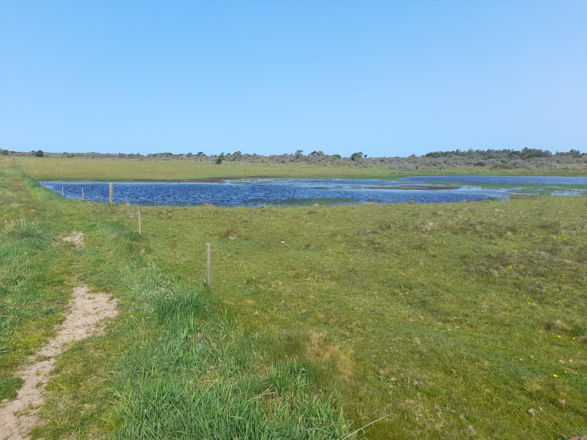Årsmøde DN-Hjørring