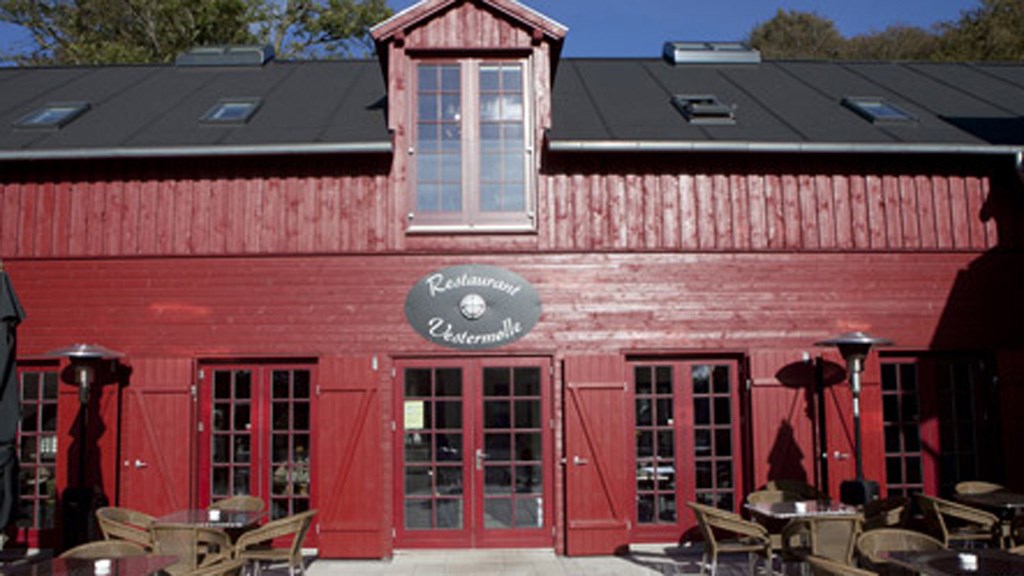 Akvarel for begyndere og let øvede - endags kursus