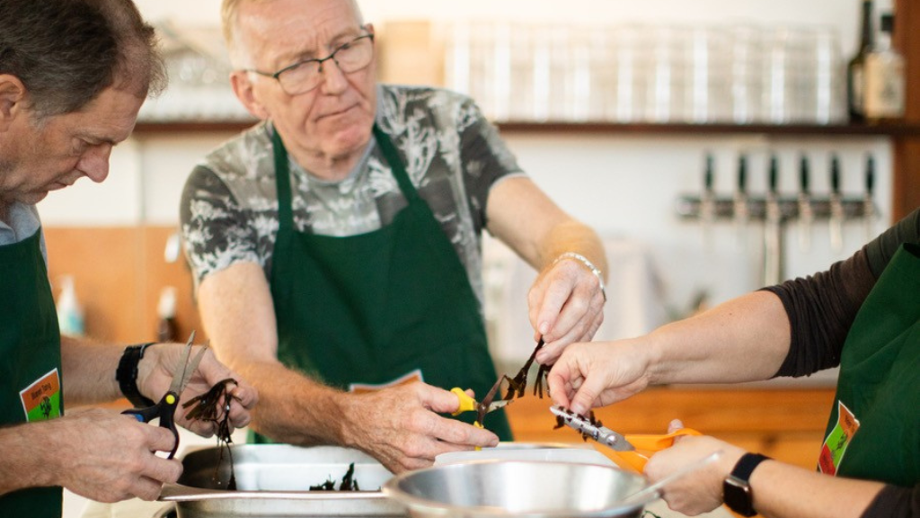 Tang i hverdagskøkkenet - Lær at bruge havets grøntsager