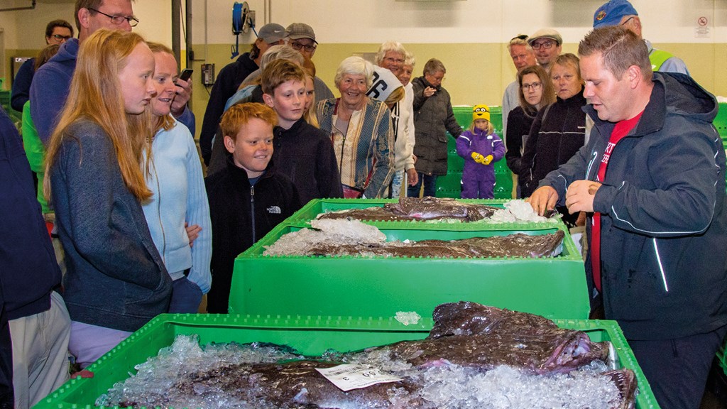 Med Nordsøen Oceanarium på Hirtshals Fiskeauktion