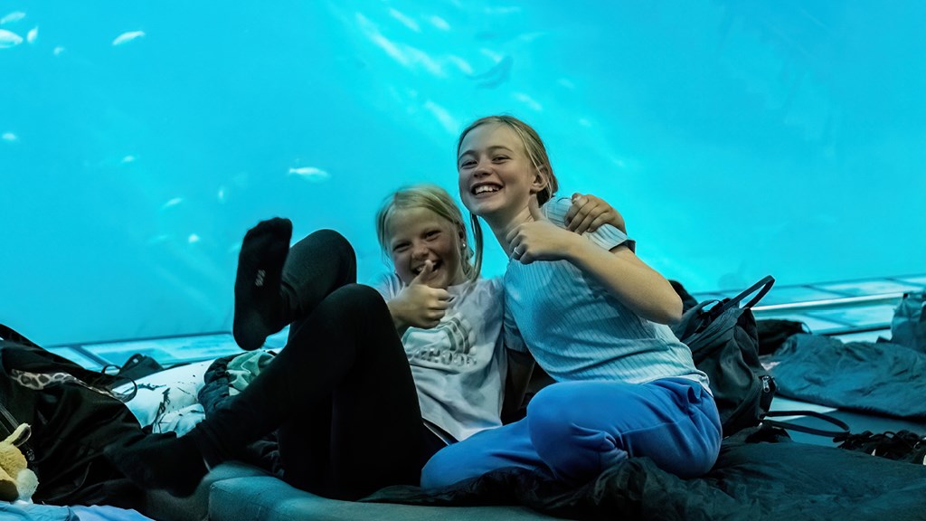 Sov med fiskene - for hele familien